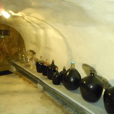 Daire Pod Vezi Zaječí